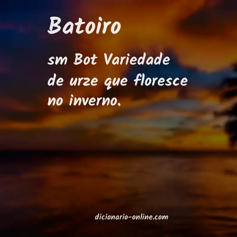 Significado de batoiro
