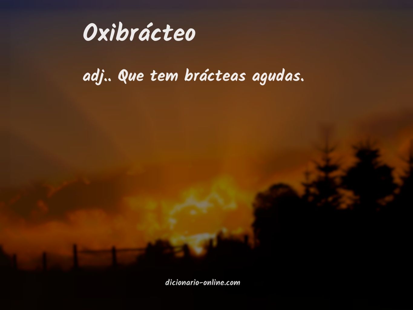 Significado de oxibrácteo