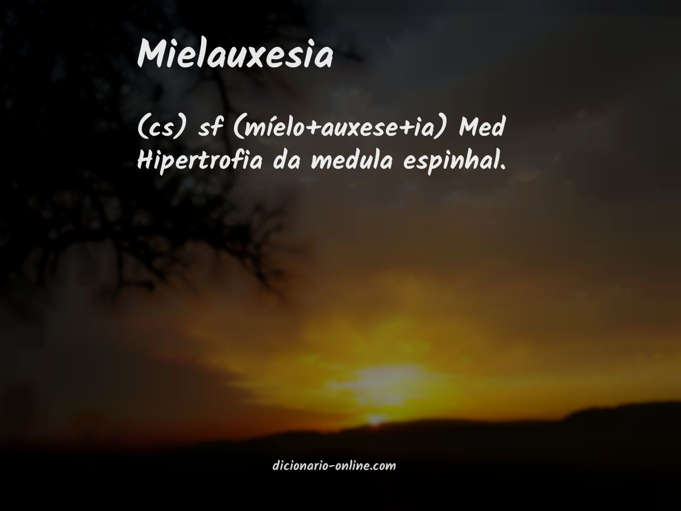 Significado de mielauxesia