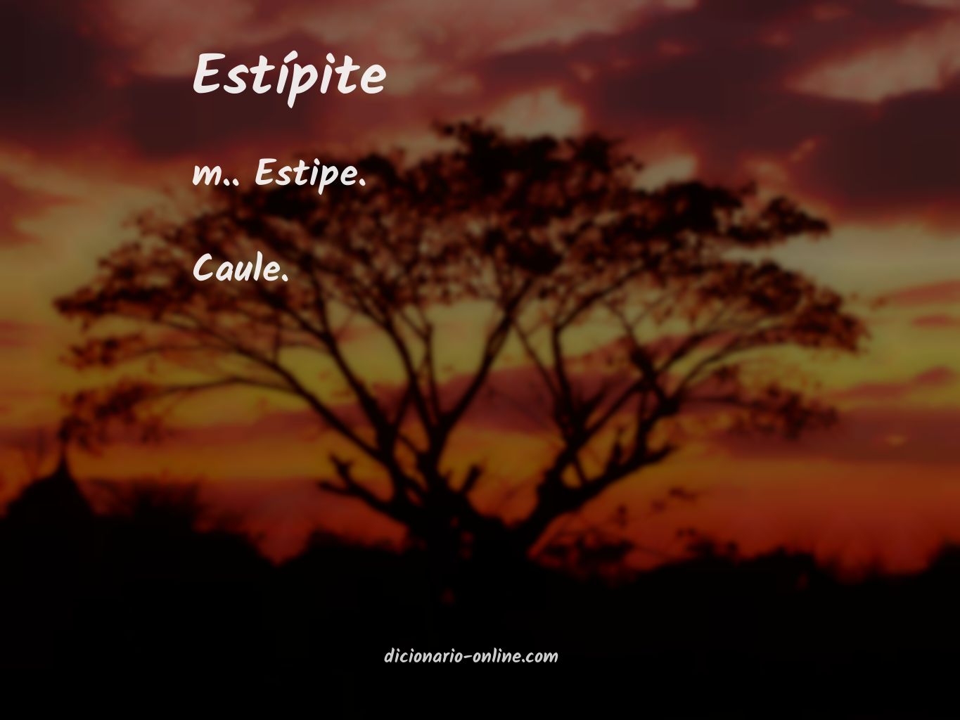 Significado de estípite