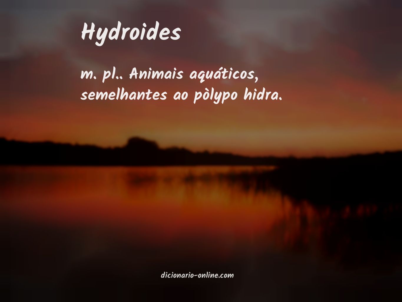 Significado de hydroides