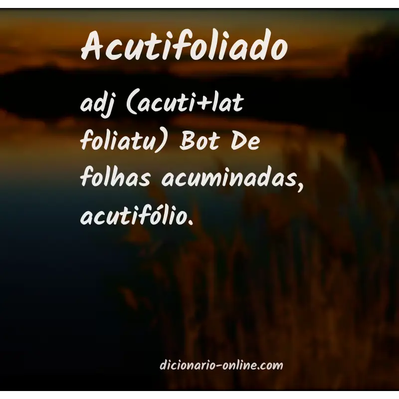 Significado de acutifoliado