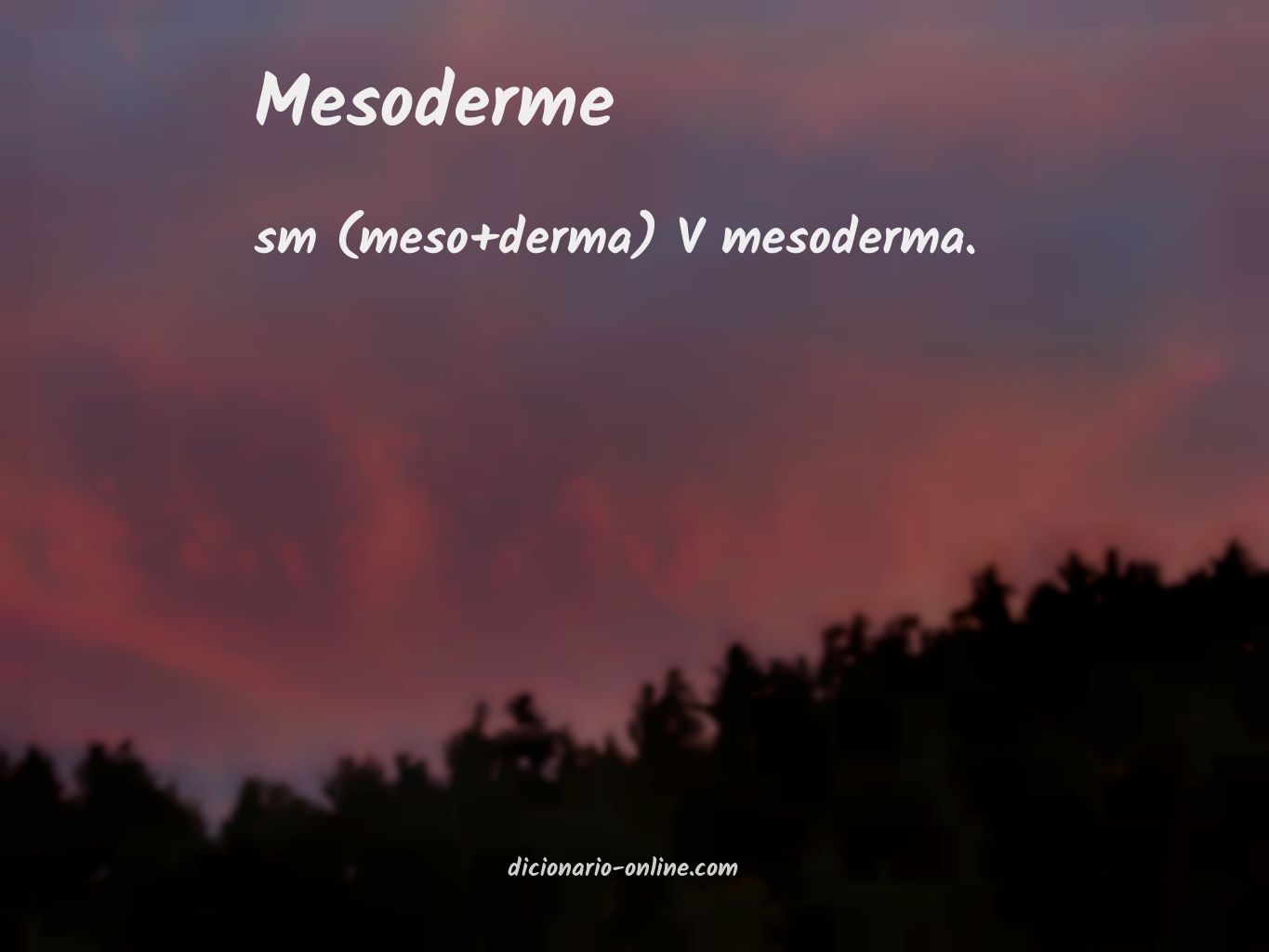 Significado de mesoderme