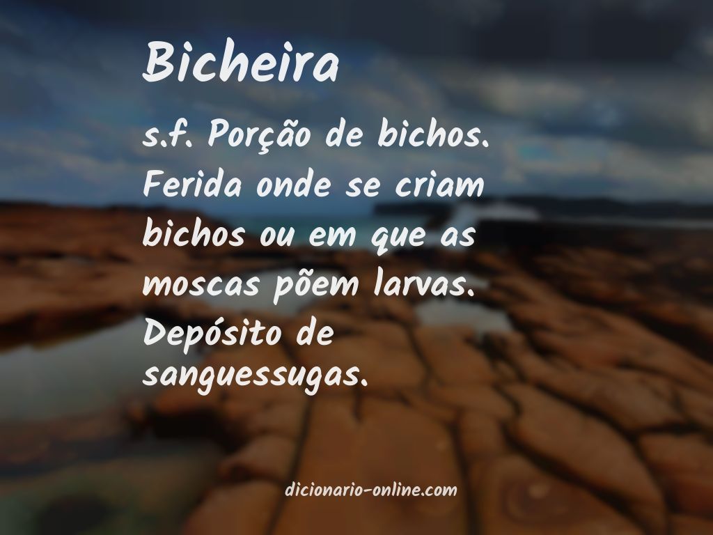 Significado de bicheira