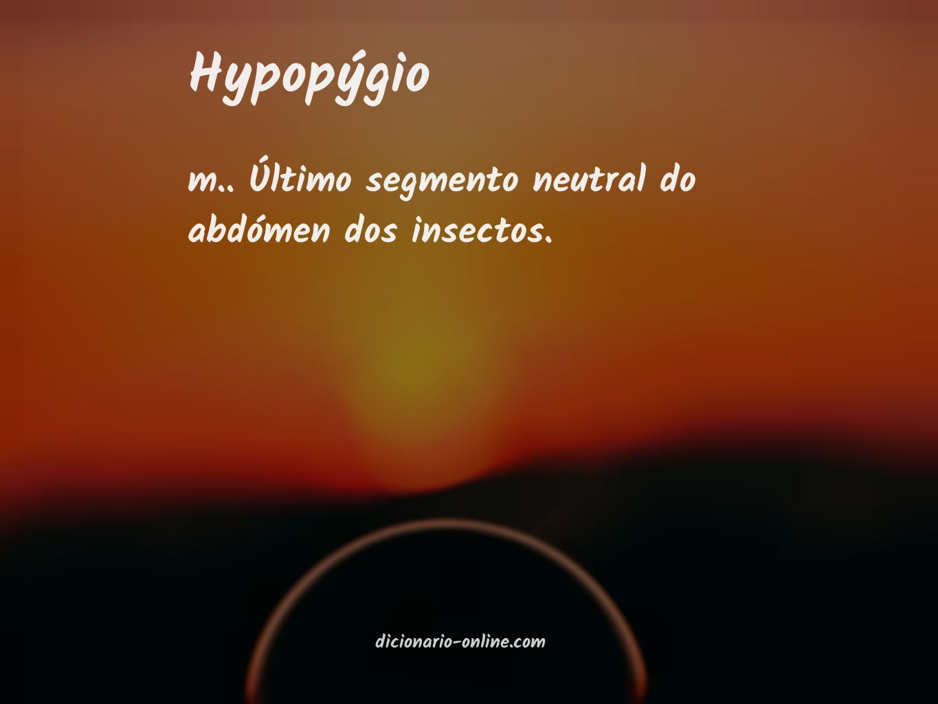 Significado de hypopýgio