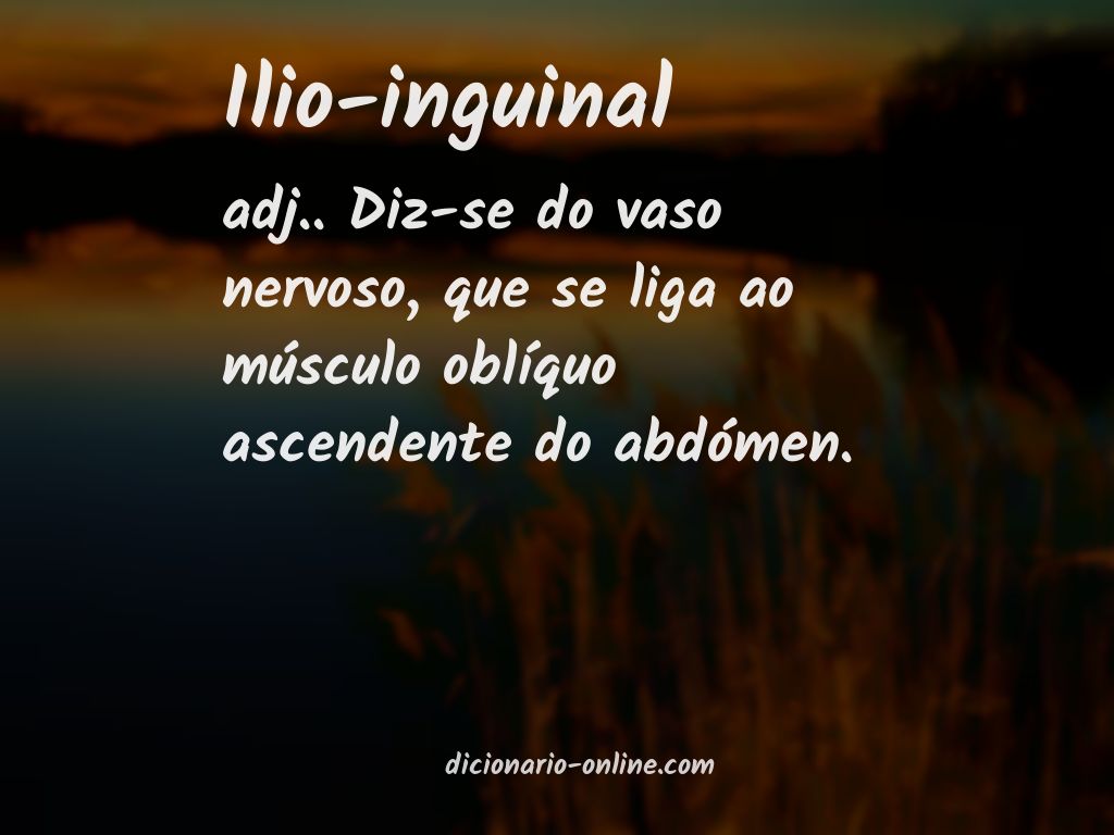 Significado de ilio-inguinal