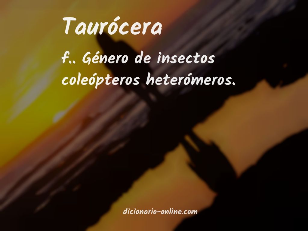 Significado de taurócera