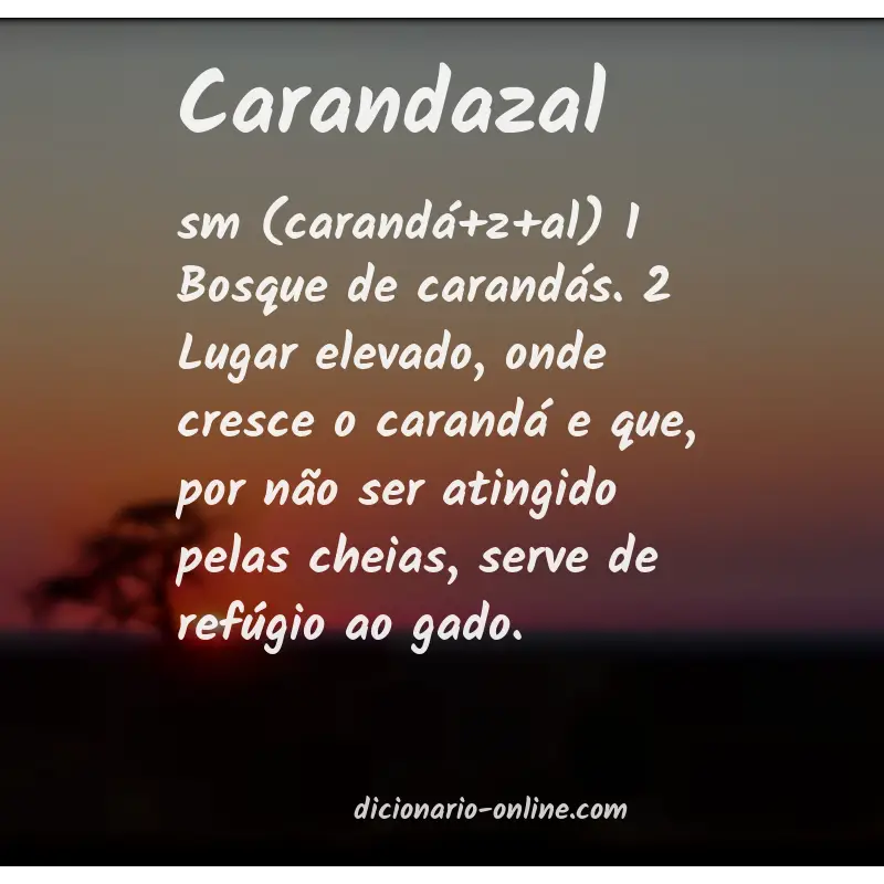 Significado de carandazal