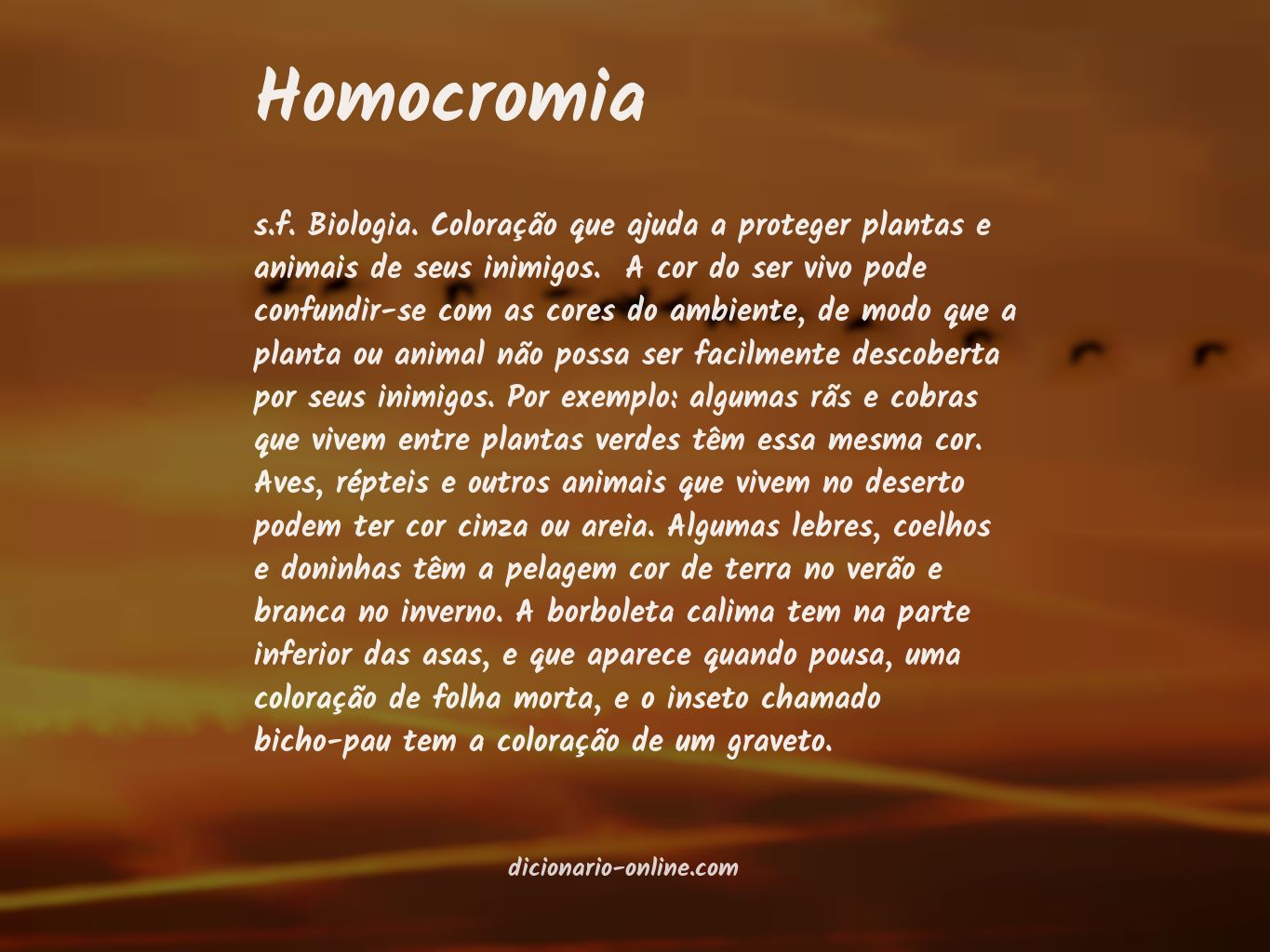 Significado de homocromia