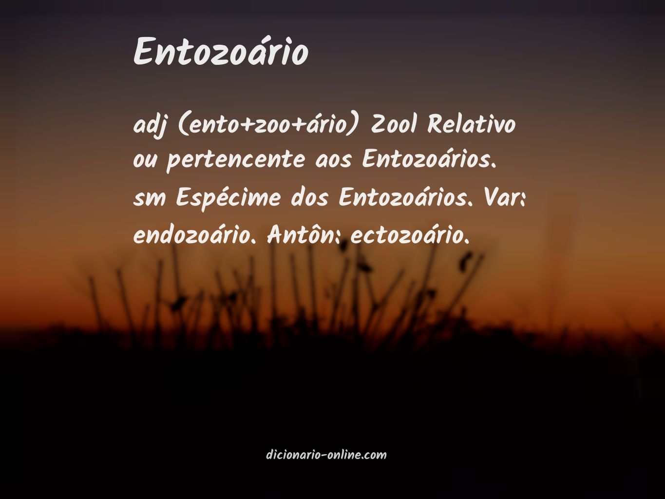 Significado de entozoário