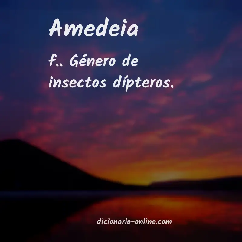 Significado de amedeia