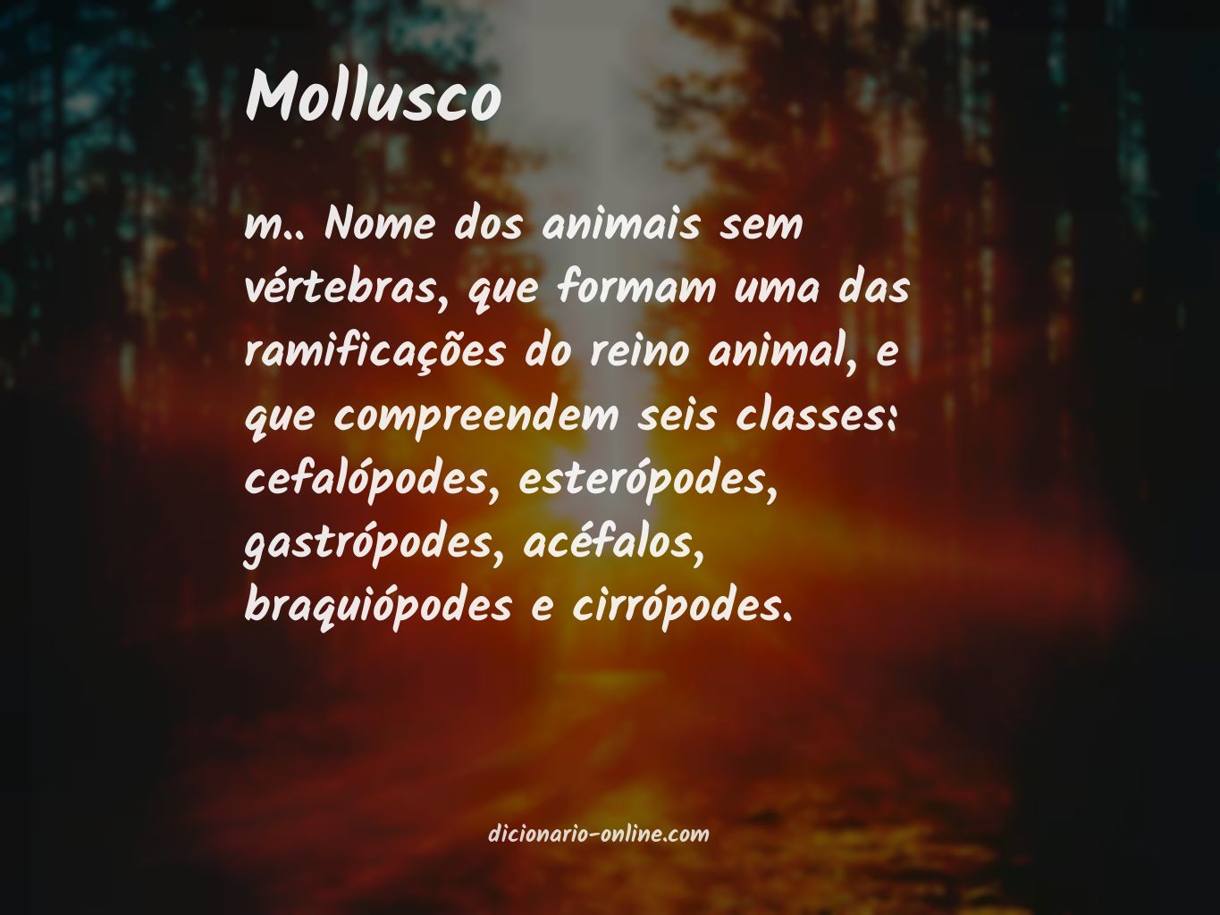 Significado de mollusco