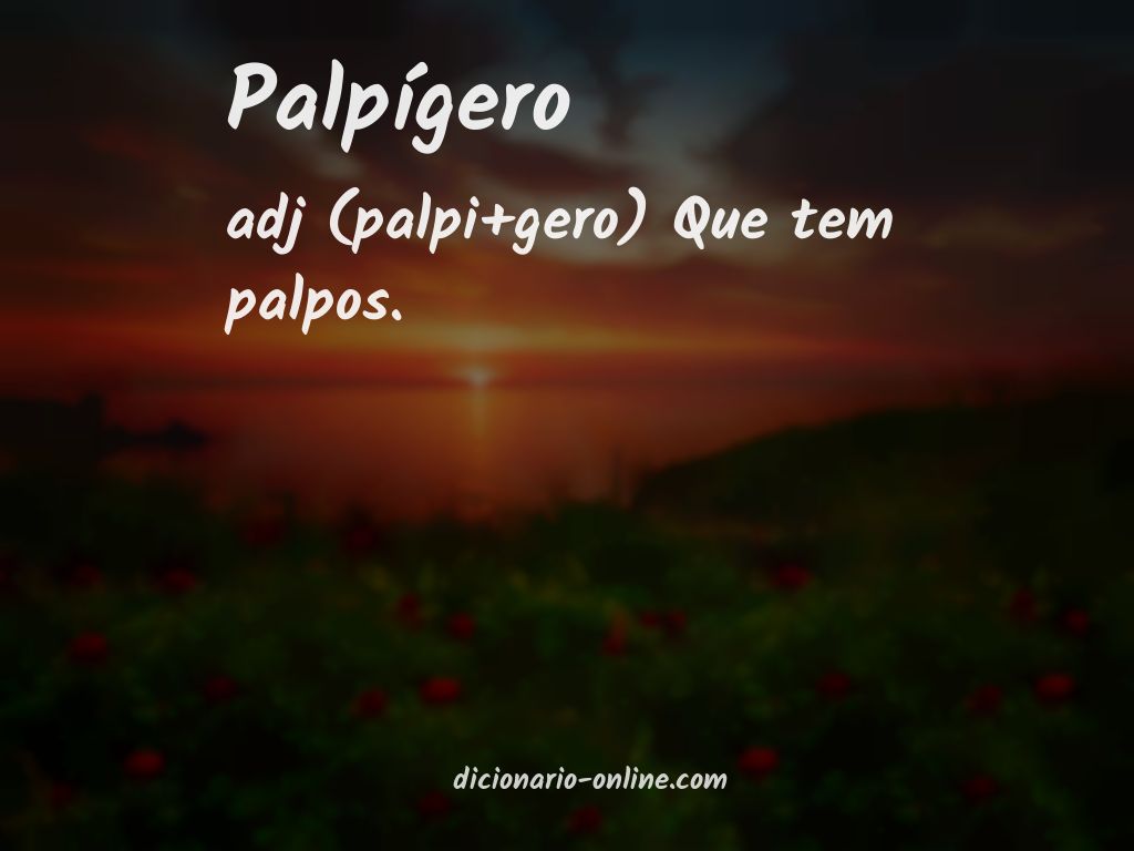 Significado de palpígero