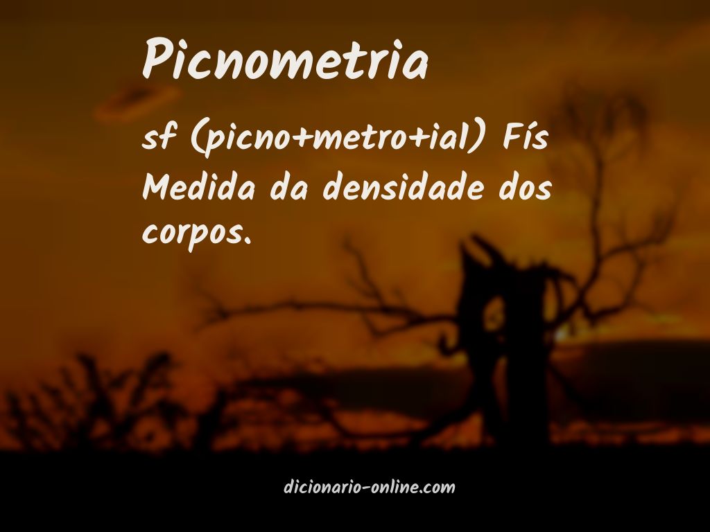 Significado de picnometria