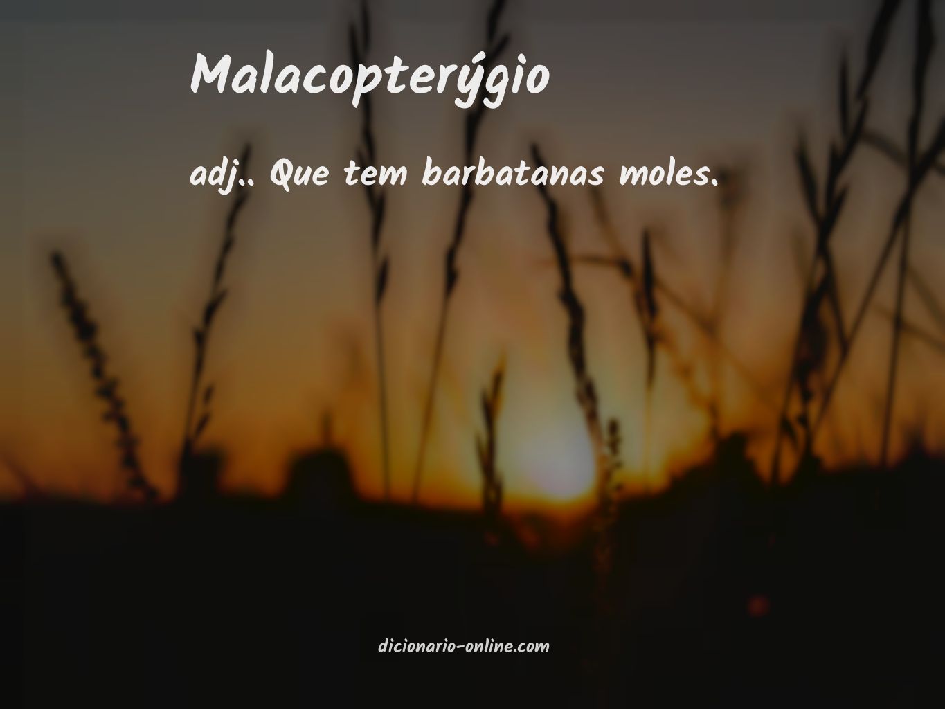 Significado de malacopterýgio