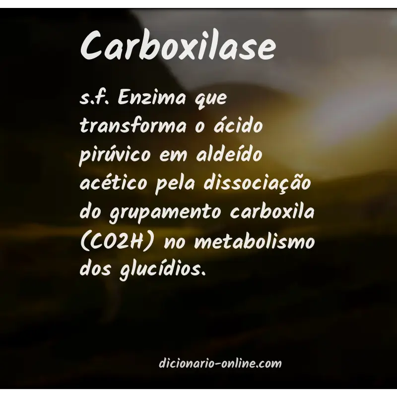 Significado de carboxilase