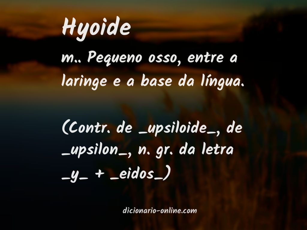 Significado de hyoide