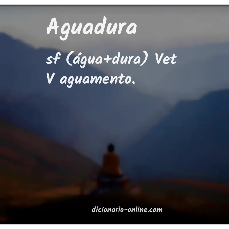 Significado de aguadura