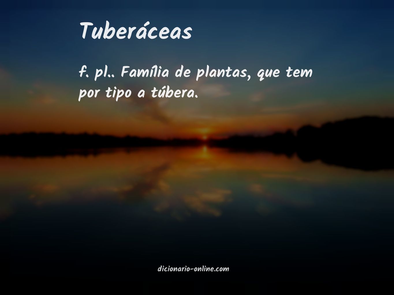 Significado de tuberáceas