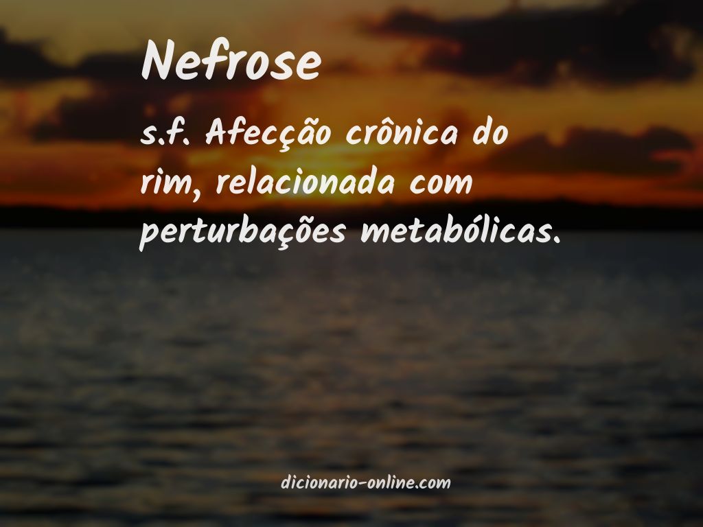 Significado de nefrose