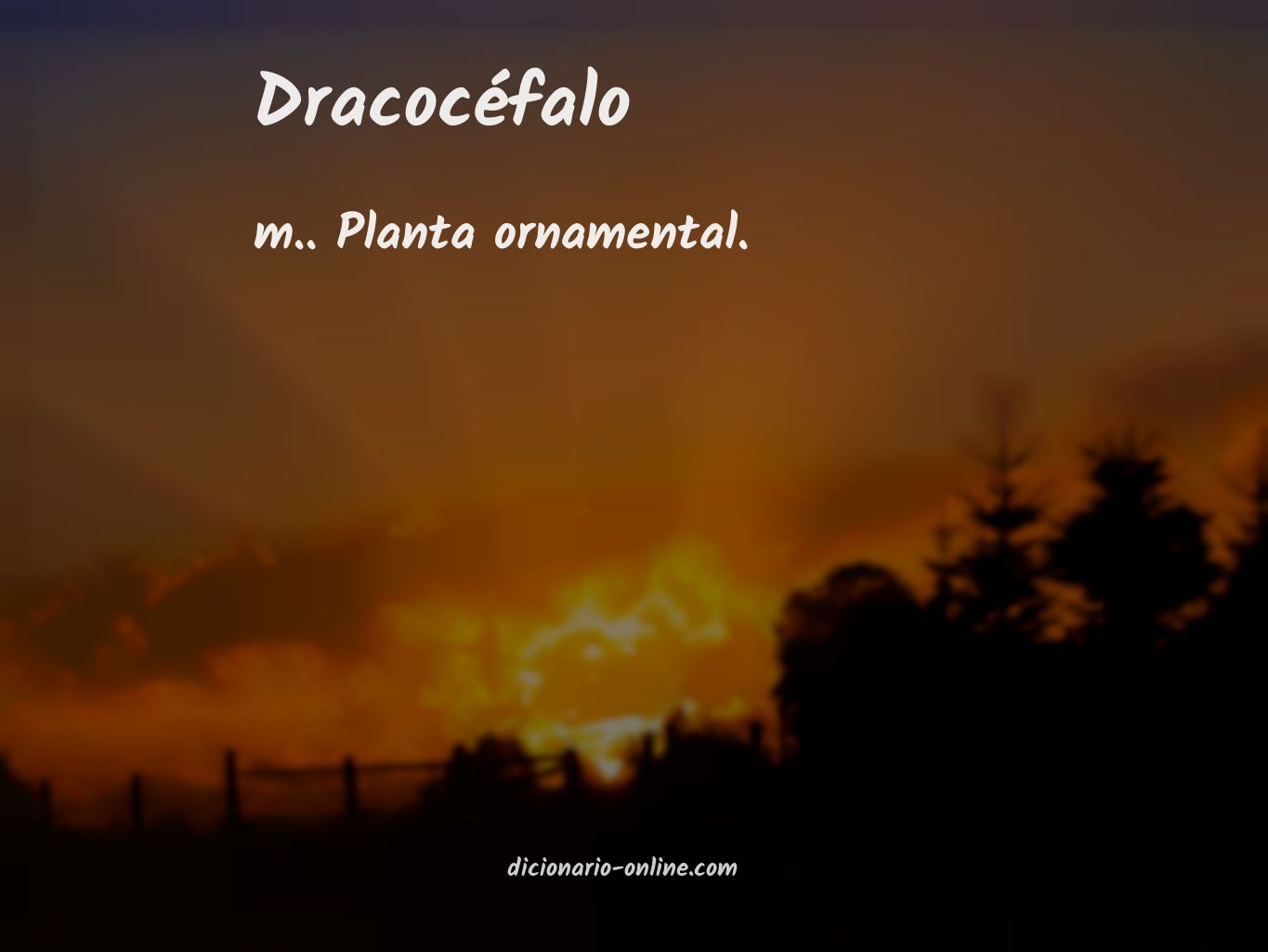 Significado de dracocéfalo