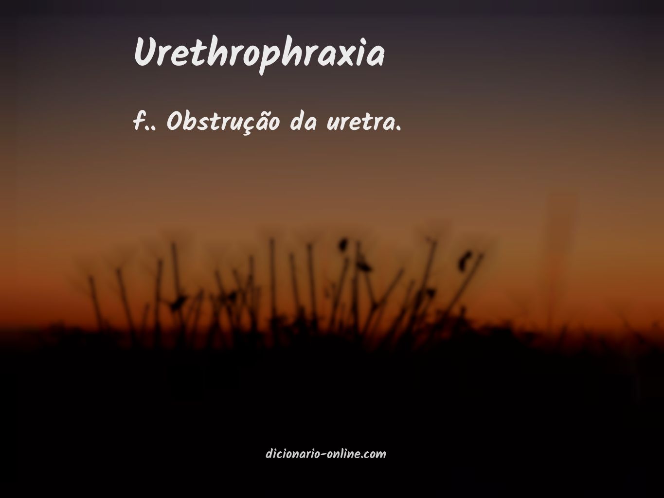 Significado de urethrophraxia