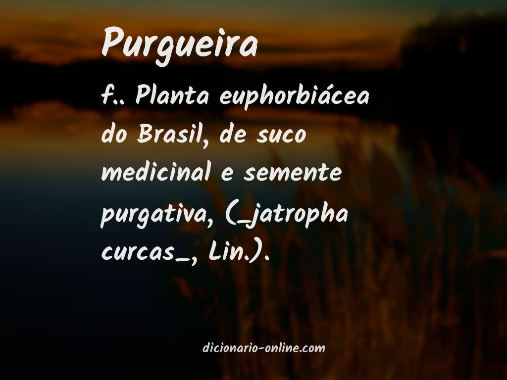 Significado de purgueira