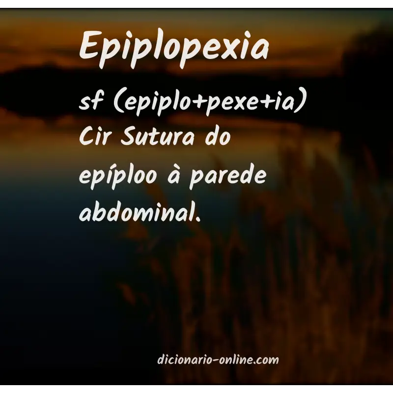 Significado de epiplopexia