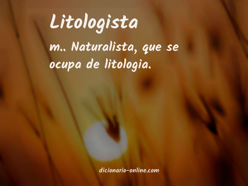 Significado de litologista