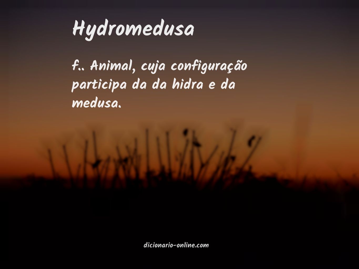 Significado de hydromedusa