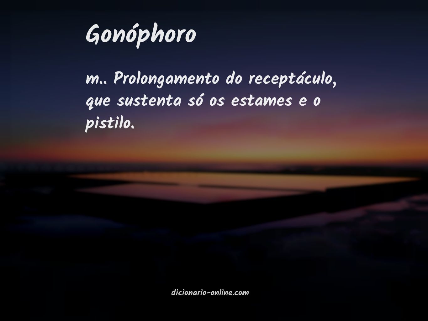 Significado de gonóphoro