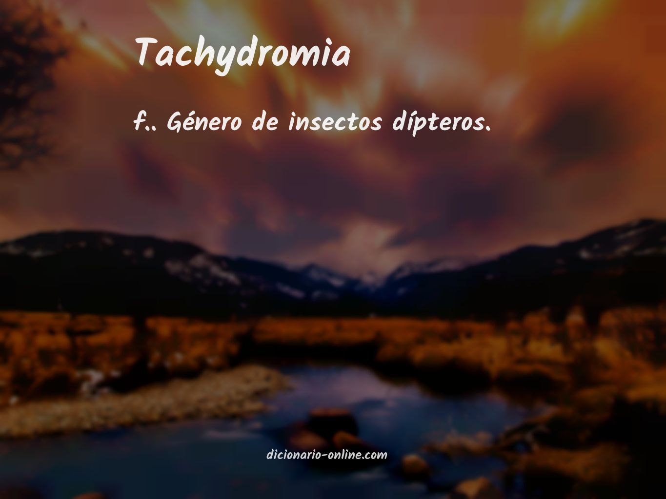 Significado de tachydromia