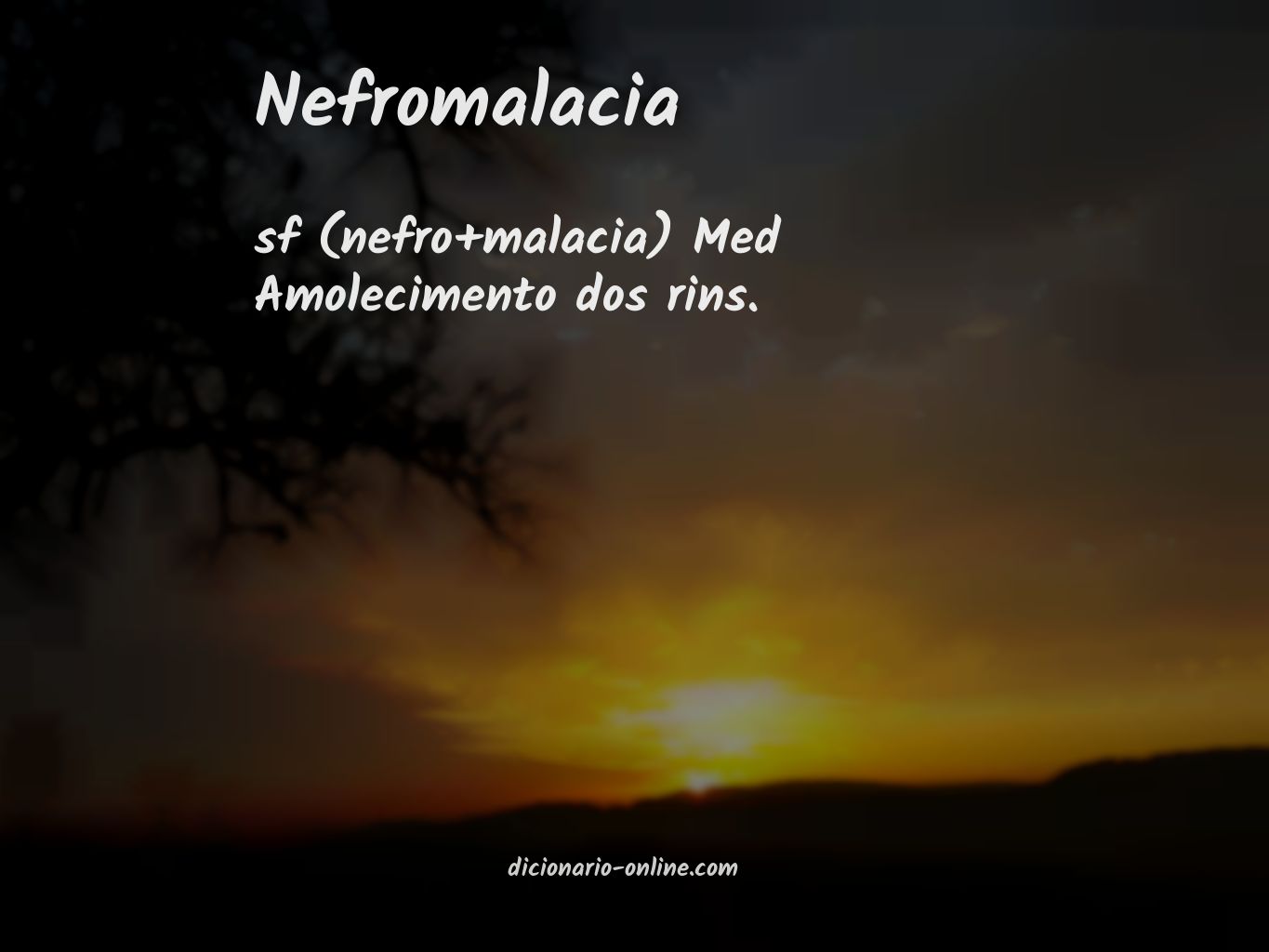 Significado de nefromalacia