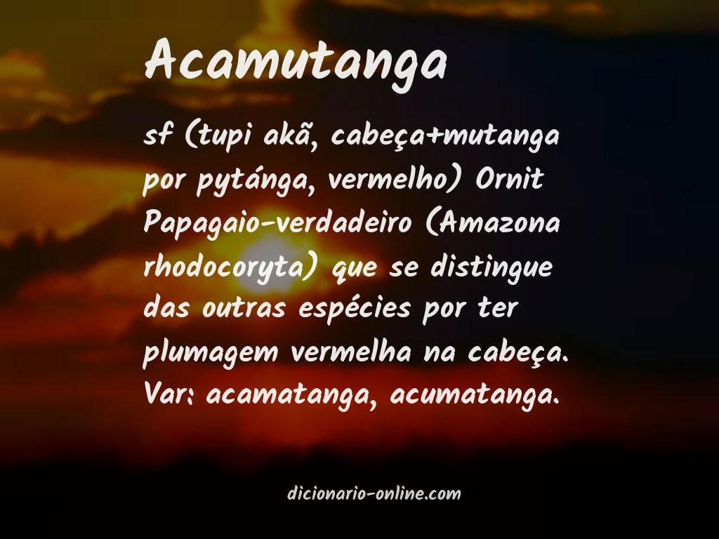 Significado de acamutanga