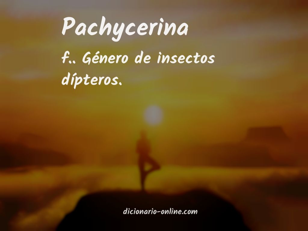 Significado de pachycerina