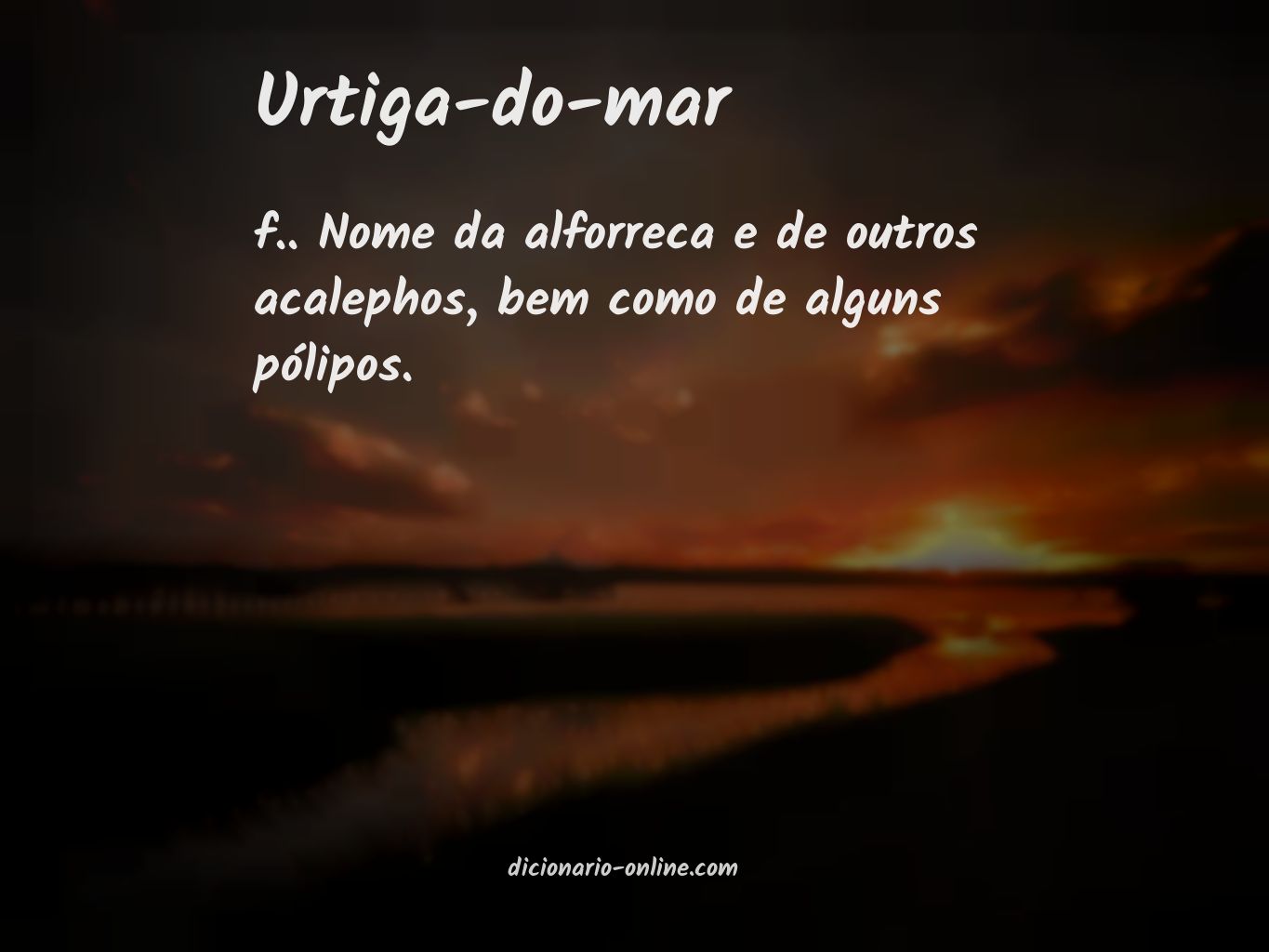 Significado de urtiga-do-mar