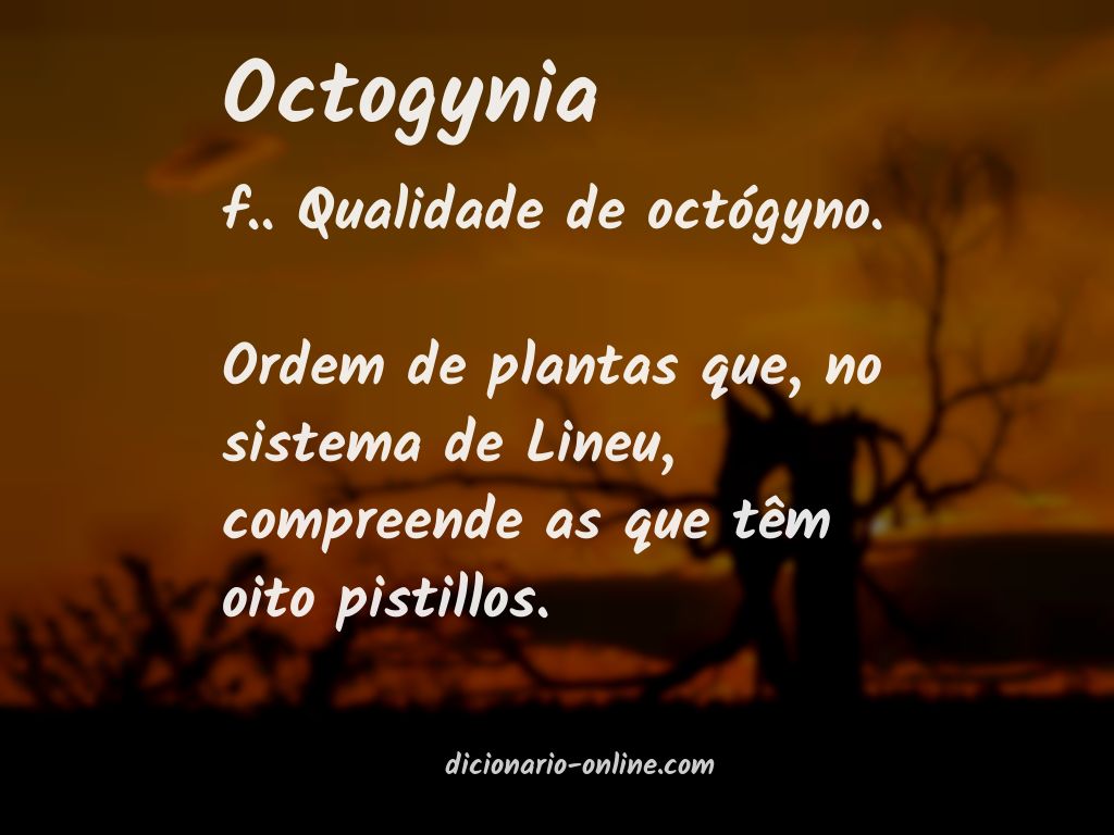 Significado de octogynia