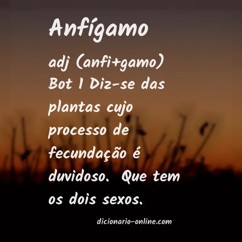 Significado de anfígamo