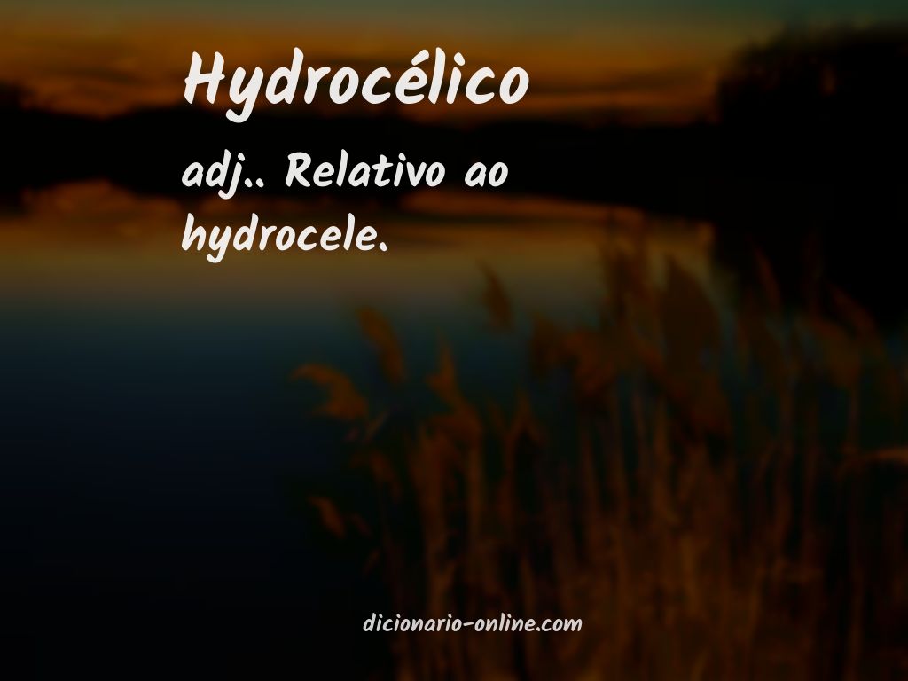 Significado de hydrocélico
