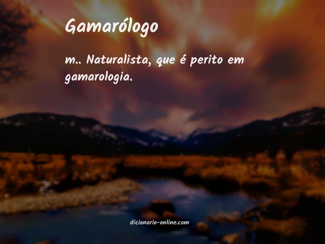 Significado de gamarólogo