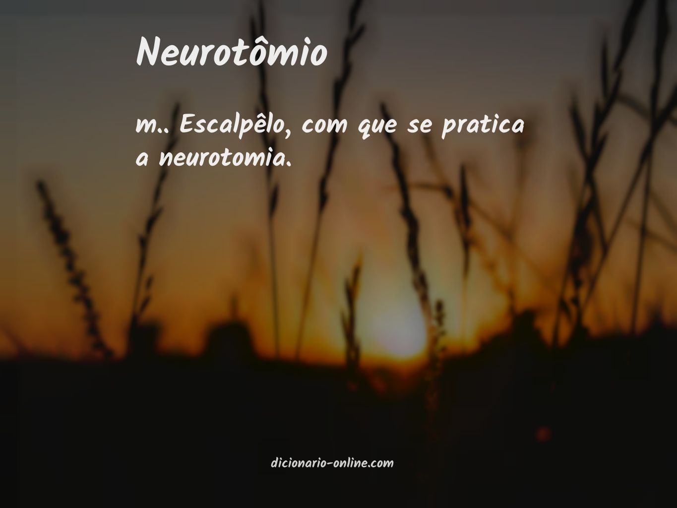 Significado de neurotômio