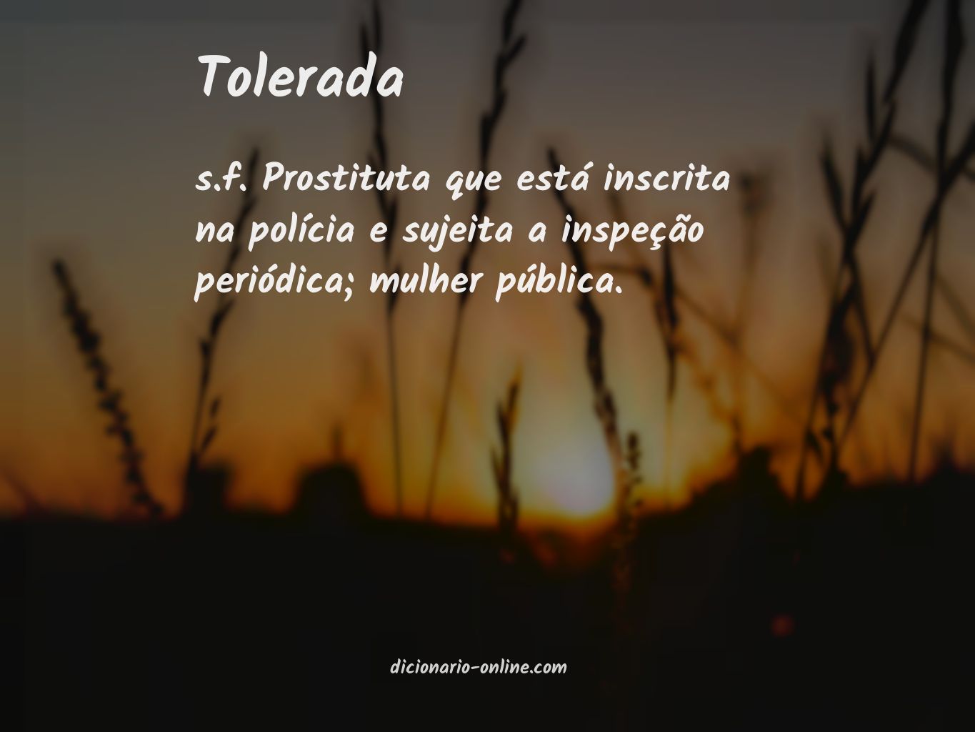 Significado de tolerada