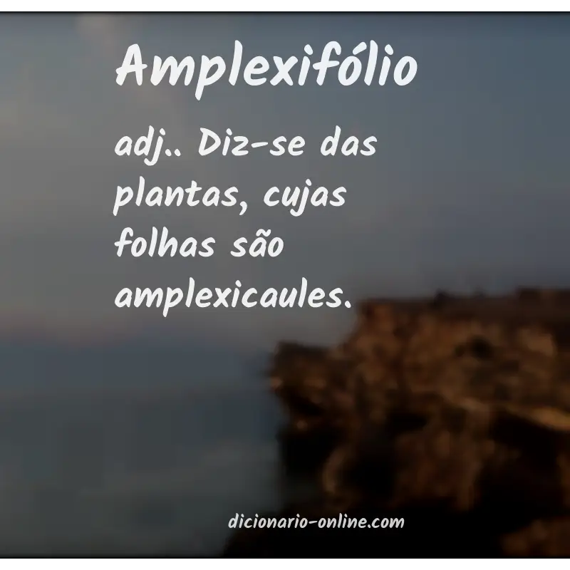 Significado de amplexifólio
