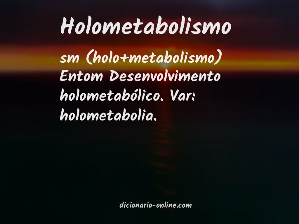 Significado de holometabolismo