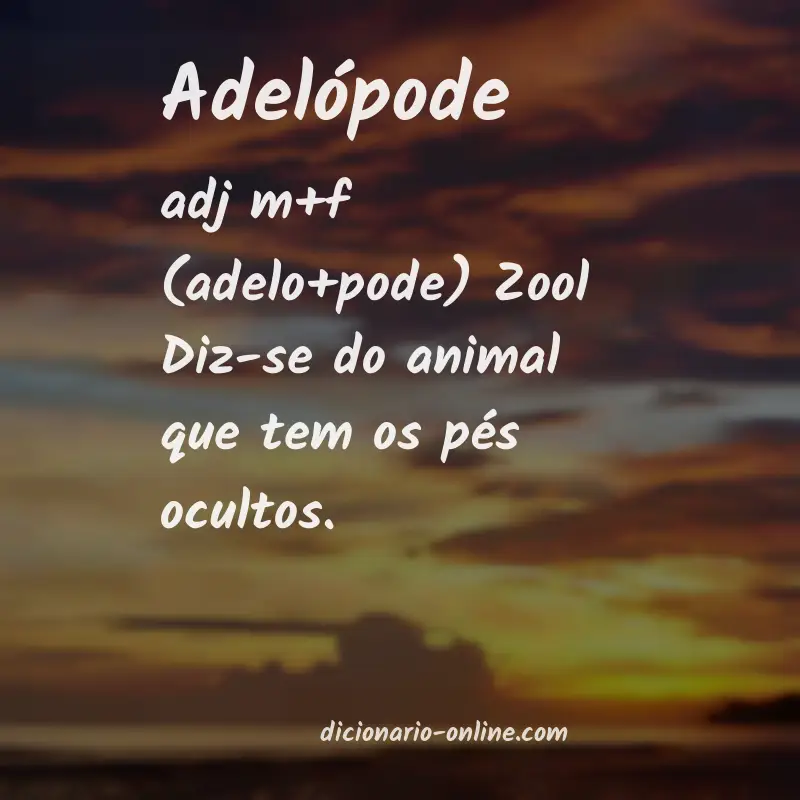 Significado de adelópode
