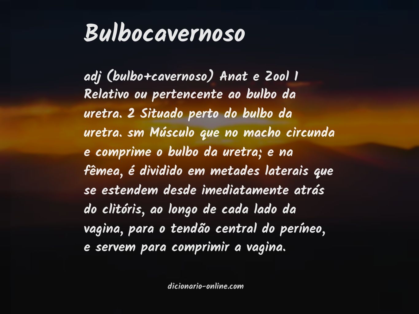 Significado de bulbocavernoso