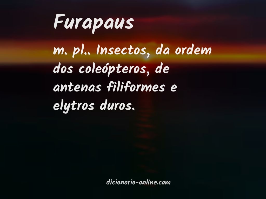 Significado de furapaus