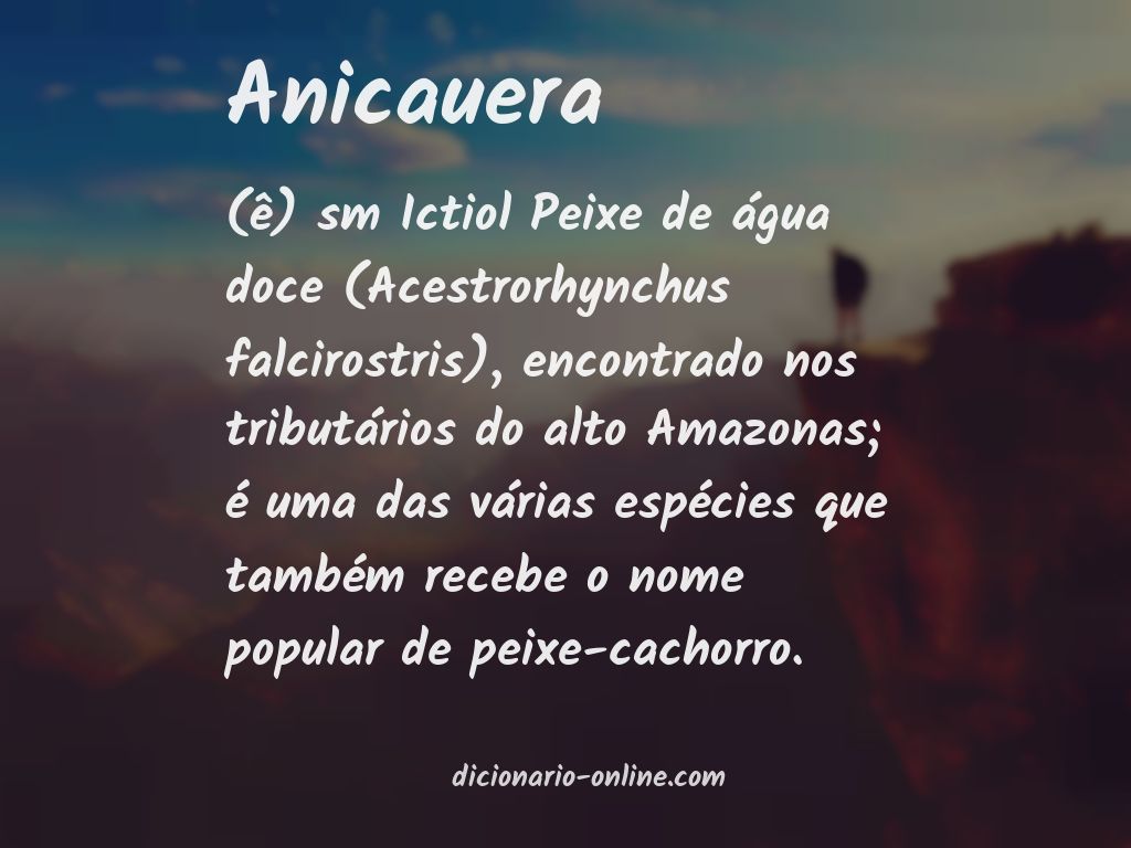 Significado de anicauera