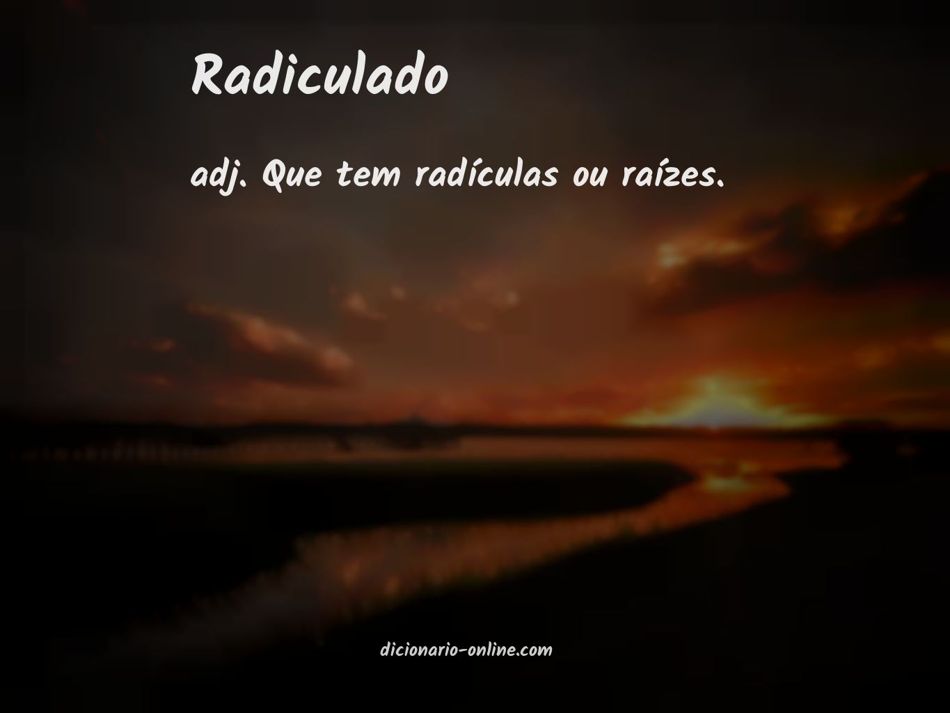 Significado de radiculado