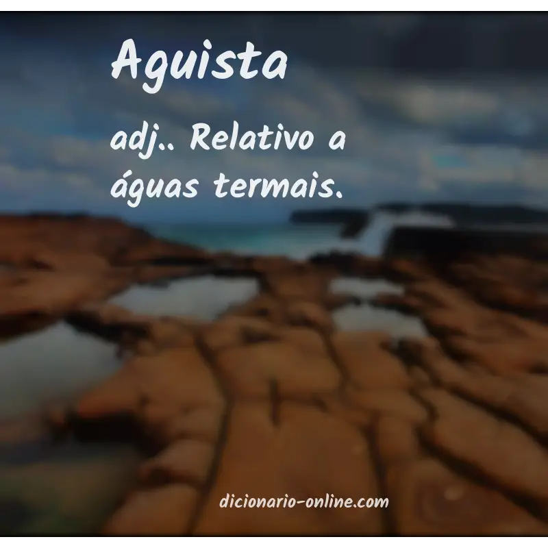 Significado de aguista